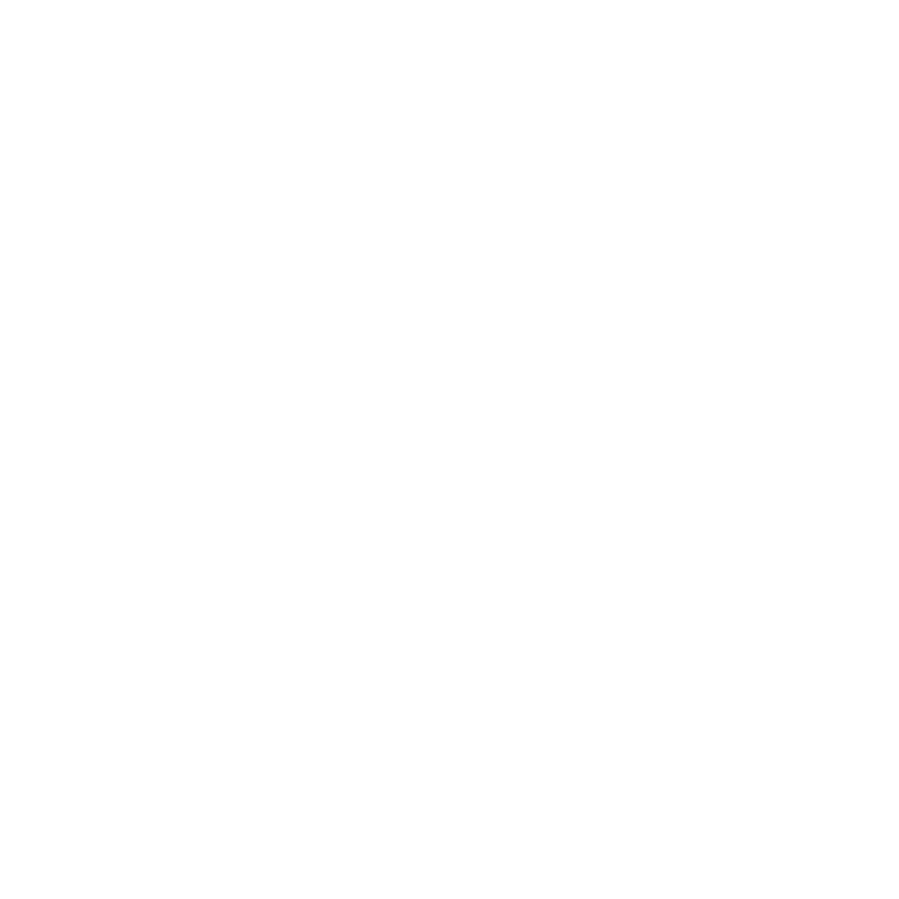 SavelySpend Logo